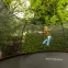 Trampolína Marimex Premium 305 cm,12