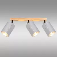 Stropné bodové svietidlo DAFNE AS-DAE143BR LS3