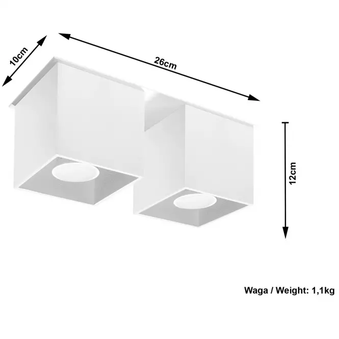Stropná Lampa Dallas 2 WHITE A-065