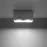 Stropná Lampa Arizona GREY A-382