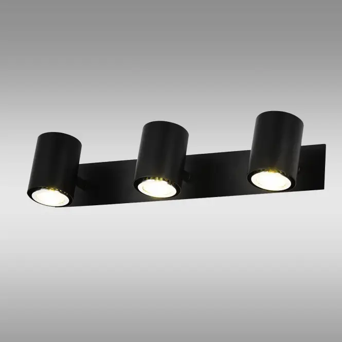 Stropné bodové svietidlo Pina as-pig103b Ls3,2