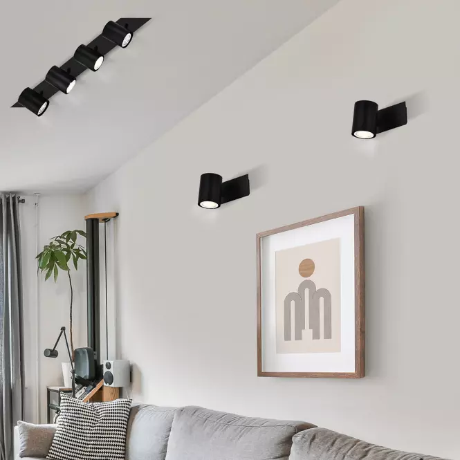 Luster Pina as-pig104b Ls4