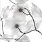 Obklad Dekor Flower Soft Glossy 2x59,4/60