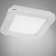 Stropné svietidlo LED NEXIT 17x17 cm 10W  IP44 Chróm 3000k
