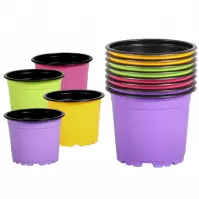Kvetináč sadbový COLOR/BLACK d11cm; 8ks