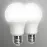 Žiarovka LED 2PACK A60 E27 10W 3000K