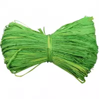 Lyko Raffia špagát svetlo zelený 50g