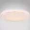 Stropná lampa 48408-24 24W Led