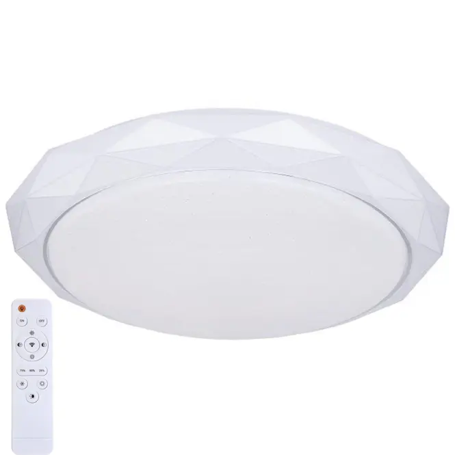 Stropná lampa 48304CCT ANDI,2