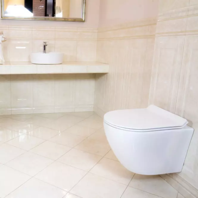 WC Misa bez goliera Sofi G02  s voľne-padajúcim sedátkom,5