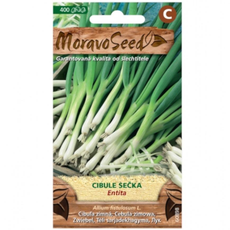 Torress's Product Image