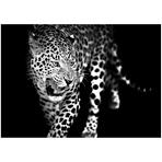 Obraz Glasspik Animals 70X100 GL106 Leopard