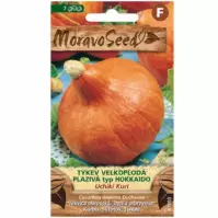 Tekvica veľkoplodová plazivá Uchiki Kuri, typ Hokkaido