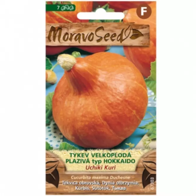 Tekvica veľkoplodová plazivá Uchiki Kuri, typ Hokkaido
