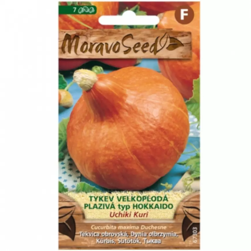 Tekvica veľkoplodová plazivá Uchiki Kuri, typ Hokkaido