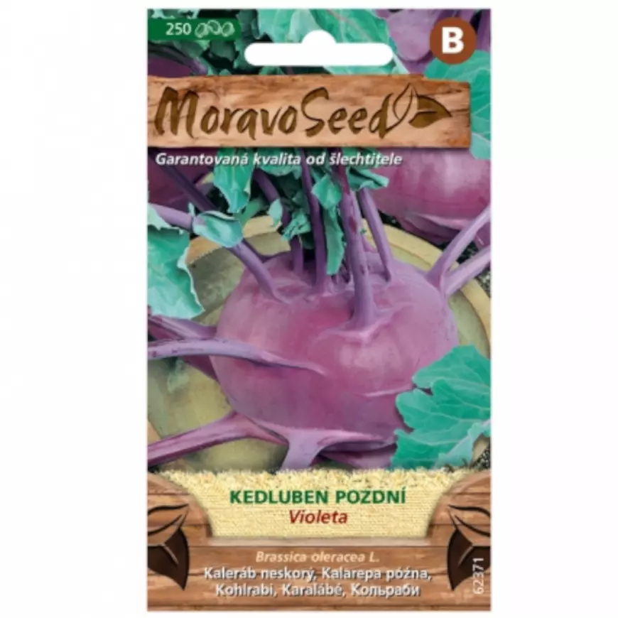 Kaleráb neskorý Violeta, modrý