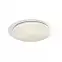 Stropná lampa LED Filo EK75315 48 cm 30 W+pilot,3