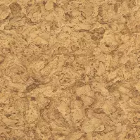 Samolepiaca fólia 2002262 0,450 x 15m