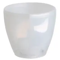 priehľadný