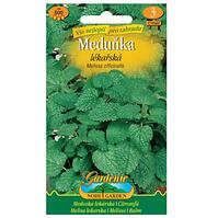Medovka lekárska