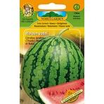 Melón vodný červený