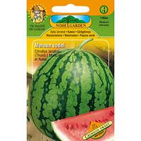 Melón vodný červený
