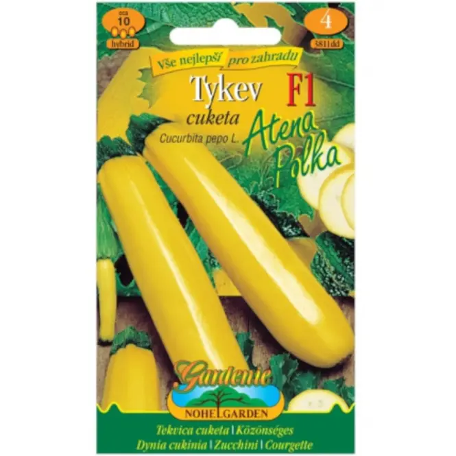 Tekvica cuketa Atena Polka F1 - hybrid, žltá