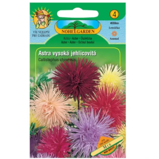 Astra čínska vysoká ihlicovitá Unicum, zmes
