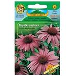 Echinacea purpurová, fialová