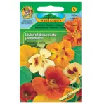 Kapucínka väčšia nízka jednoduchá, zmes