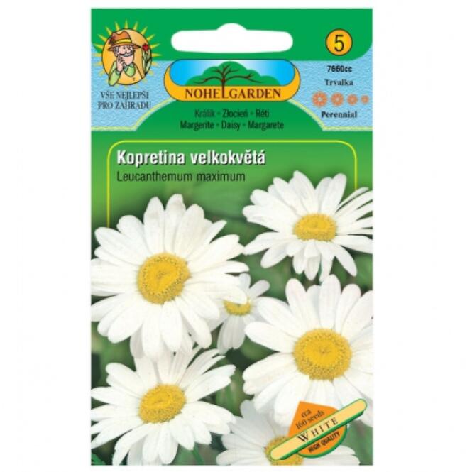 Králik veľkokvetý, biely
