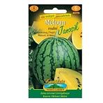 Melón vodný Janosik, žltý