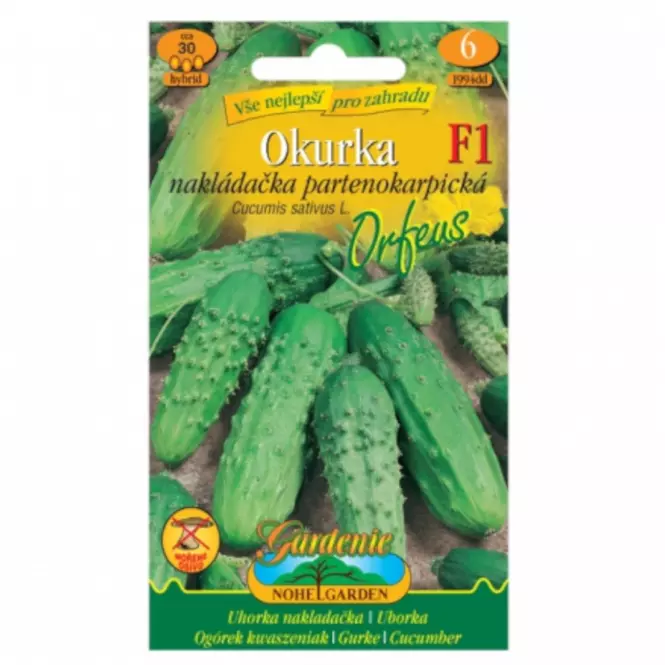Uhorka nakladačka partenokarpická Orfeus F1 - hybrid