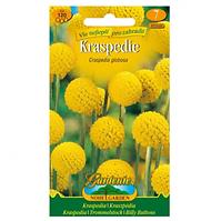 Kaspédia, žltá