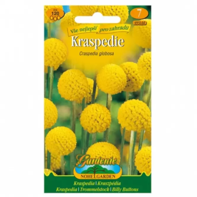 Kaspédia, žltá