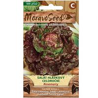 Šalát hlávkový celoročný Rosemarry, červený