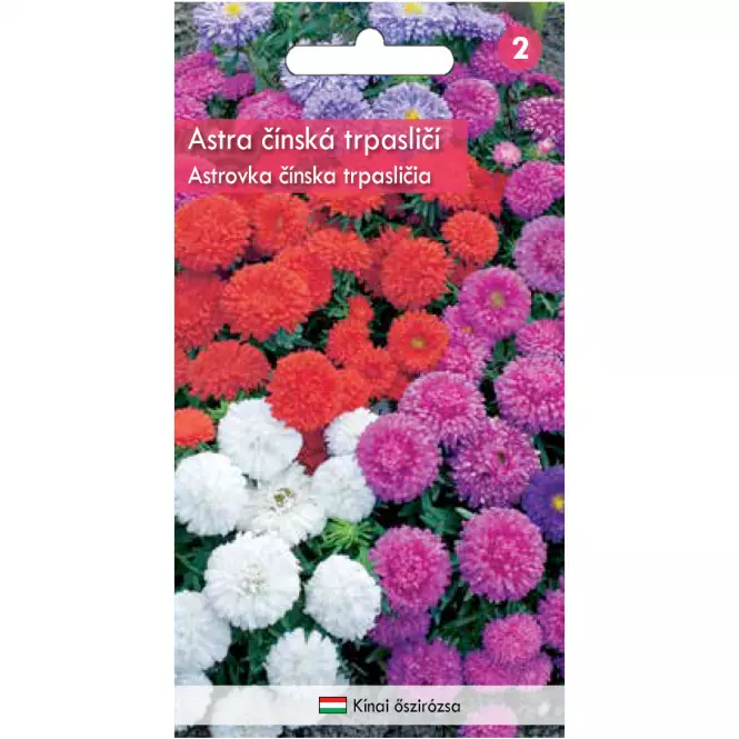 Astrovka čínska trpasličia – zmes