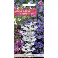 Lobelka drobná Stroiczka – zmes