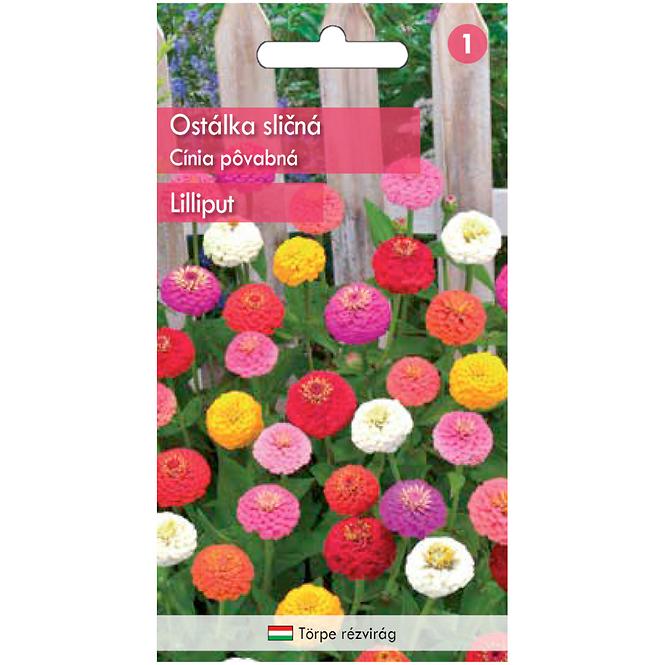 Cínia pôvabná Lilliput – zmes