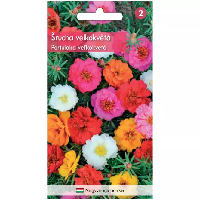Portulaka veľkokvetá