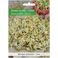 Semená na klíčky - Šošovica