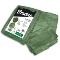 zelená