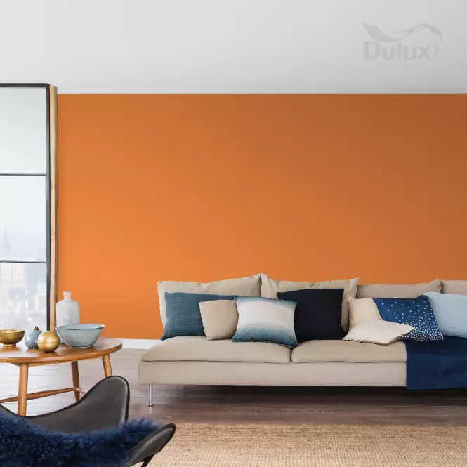 Dulux Colours Of The World Sušená Marhuľa 2,5l,3