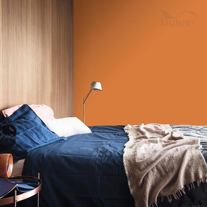 Dulux Colours Of The World Sušená Marhuľa 2,5l