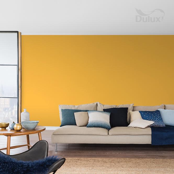 Dulux Colours Of The World Exotické Karí 2,5l