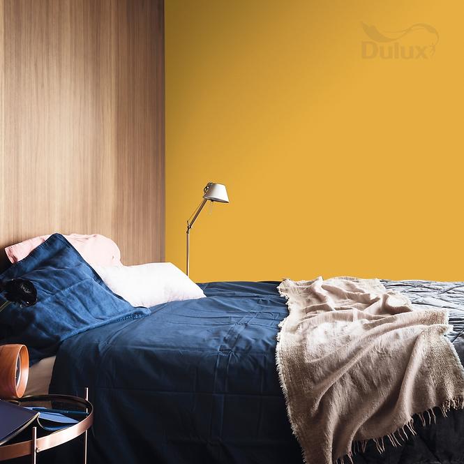 Dulux Colours Of The World Exotické Karí 2,5l