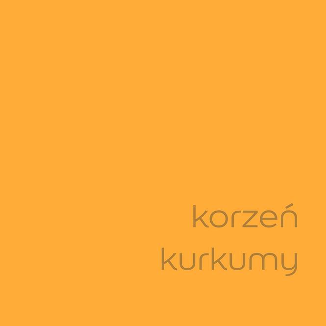 Dulux Colours Of The World Koreň Kurkumy 2,5l