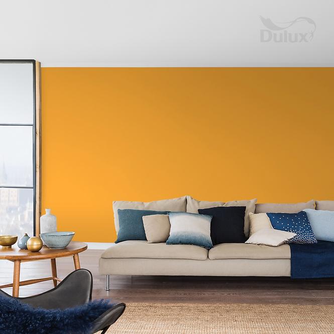 Dulux Colours Of The World Koreň Kurkumy 2,5l