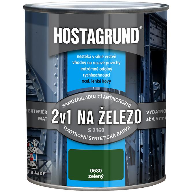 Hostagrund S2160 2v1 na Železo Zelená 0,6l