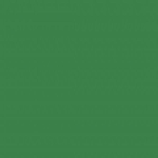 Hostagrund S2160 2v1 na Železo Zelená 0,6l